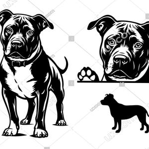 American Pit Bull Peeking Dog pit bull svg 3 Commercial files pit bull mom SVG PNG EPS pitbull Clipart Vector Cricut Cut Cutting File vinyl