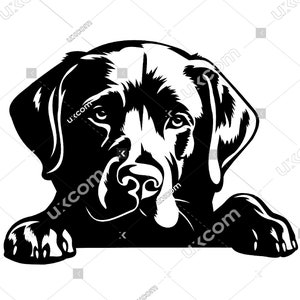 Labrador retriever Gluren Hond poten Zwarte Labrador retriever SVG Ras Lab clipart Logo Commerciële dxf PNG EPS Clipart Cricut laser gesneden bestand