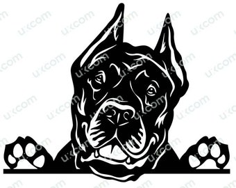 Cane corso svg corso Peeking Dog Paws Race commerciale Cane corso cricut fichier coupé Logo SVG PNG EPS Clipart Vector Cut Cutting