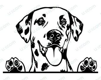 Puede incluir: Ilustración en blanco y negro de un dálmata asomándose por encima de una superficie con sus patas visibles. El perro tiene un pelaje manchado y sonríe con la lengua fuera.