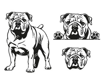 English Bulldog Peeking Dog Commercial set bulldog bundle mom bulldog set SVG PNG EPS Clipart Vector canine Cricut Cut 3 Cutting Files