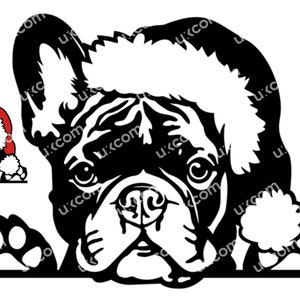 Französische Bulldogge SVG