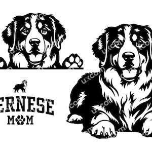 Berner Sennenhund Set 3 Berner SVG Kommerzieller Berner Hund Berner Mutter Berner Rasse CNC Svg Dxf Png EPS Clipart Cricut Cut File Vinyl