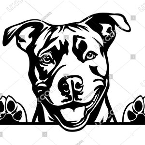 Staffordshire Bull Terrier svg Sbirciare felice amstaff Razza Cucciolo carino Logo commerciale SVG PNG EPS Clipart Vector Cricut Taglia File di taglio