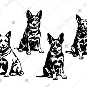Australian Cattle dog svg volledige lichaam 4 rode heeler set bundel schattige blauwe heeler hoektand CNC Svg Dxf PNG EPS Clipart Cricut Cut File vinyl laser
