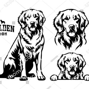 Golden retriever svg set 4 bestanden bundel gouden moeder schattige golden retriever hond CNC SVG EPS Png Jpg gouden Clipart Vector Cricut Cut File vinyl