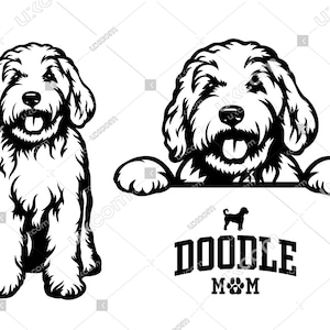 Goldendoodle Gluren Goldendoodle SVG labradoodle SVG Commerciële doodle moeder 3 doodle CNC Svg PNG EPS Clipart Vector Cricut Cut File vinyl
