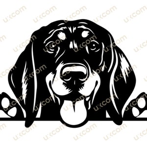 以下が含まれることがあります： 黒と白の血痕犬のイラストが表面から顔をのぞかせており、舌を出しています。犬は友好的な表情で、直接視聴者を見ています。