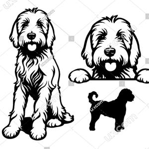 Goldendoodle spähender Hund Set 3 Goldendoodle SVG Labradoodle SVG Canine Doodle Stammbaum CNC Svg PNG EPS Clipart Vektor Cricut Cut File Vinyl
