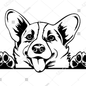 Corgi Gluren Hondenras Stamboom Canine Pet Commerciële Dierenlogo SVG PNG EPS dxf Clipart Vector Cricut Cut Cutting File