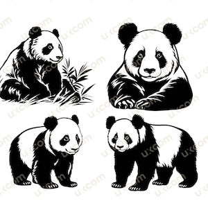 Panda späht SVG Schnittdatei Cricut süßer Panda Baby Clipart T-Shirt kommerzielle Silhouette Bundle Vinyl Aufkleber Logo Waldtiere dxf ai eps