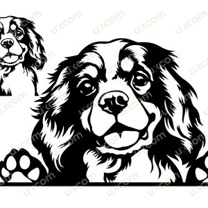 Cavalier Peeking Cavalier King Charles Spaniel Raza de perro comercial Lindo Cavalier feliz Logotipo SVG PNG EPS dxf Clipart Vector Cricut Archivo de corte