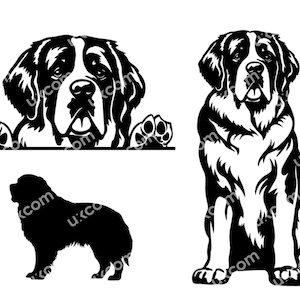 Peut inclure: Illustrations en silhouette noire et blanche d'un Saint-Bernard dans trois poses différentes. La première image montre la tête et les pattes du chien qui dépassent d'une surface. La deuxième image montre le chien assis, la tête levée. La troisième image montre le chien debout, la tête baissée.
