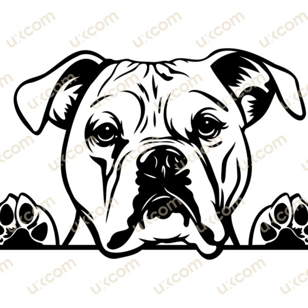 American bulldog Peeking Dog Commercial breed bulldog white clipart canine pedigree SVG PNG EPS Clipart Vector Cricut Cut Cutting File vinyl