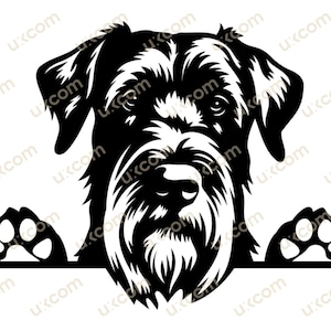 Riesenschnauzer Hund späht Hund Kommerzielle Rasse Riesenschnauzer Clipart Hundestammbaum SVG PNG EPS Clipart Vektor Cricut Cut Cutting File
