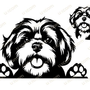Shih tzu gluren SVG hondenras commerciële shihtzu sticker shitzu SVG PNG EPS clipart vector schattig shihtzu Cricut gesneden Shih tzu snijden bestand