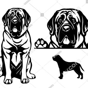 Mastiff Peeking Dog 3 mastiff svg Commercial mastiff bundle Breed Canine PNG EPS mastiff Clipart Vector cute mastiff Cricut Cut File laser
