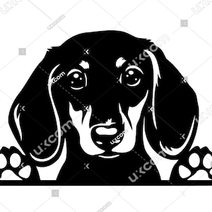 Dackel spähender Hund schwarzer Dackel SVG Kommerzieller süßer Dackel Stammbaum Canine EPS CNC Png Doxie Clipart Vektor Cricut Laser geschnittene Datei