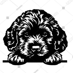 Poodle Peeking Dog  poodle puppy poodle svg poodle Breed Commercial Pedigree Canine CNC Svg Dxf EPS Png Clipart Vector Cricut laser cut file
