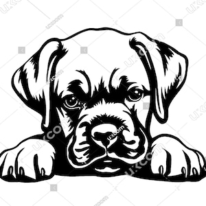 Boxer gluren SVG schattige bokser SVG hond bokser ras commerciële honden bokser puppy peek CNC SVG DXF PNG EPS clipart vector Cricut gesneden bestand vinyl