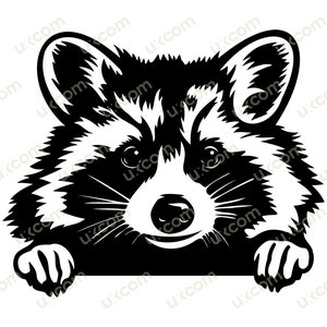 Raton laveur furtivement raton laveur Commercial mignon raton laveur noir et blanc cricut logo tshirt vinyle décalcomanies SVG PNG EPS Clipart Vector Cut Cutting File