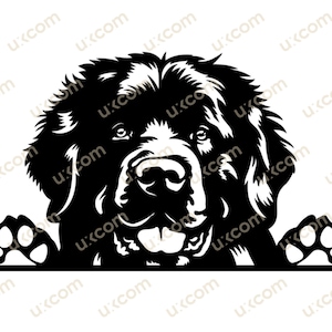 Neufundländer Spähende Hunderasse Kommerzieller Neufundländer Canine Neufundland SVG Logo SVG PNG EPS dxf Clipart Vektor Cricut Cut Cutting File