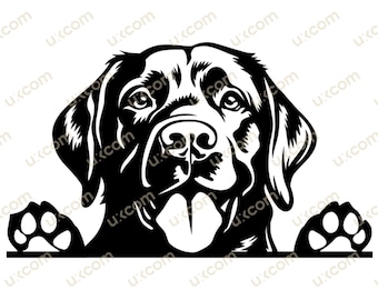 Labrador retriever svg Peeking labrador Commercial happy labrador cute Chesapeake dog breed SVG PNG EPS Clipart Vector Cricut Cut File vinyl