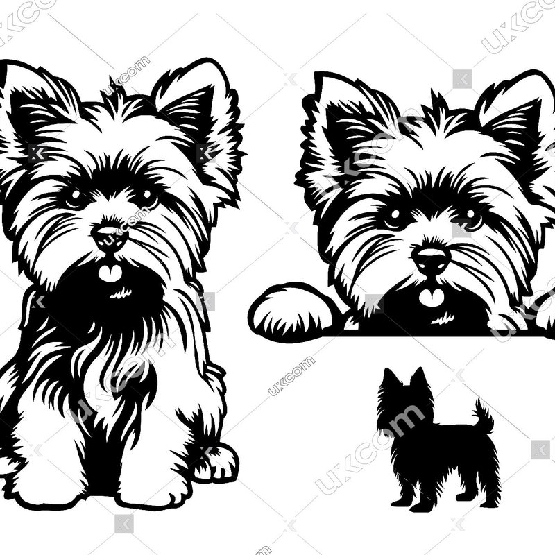 Yorkie Svg File Yorkie Peeking Svg - Etsy