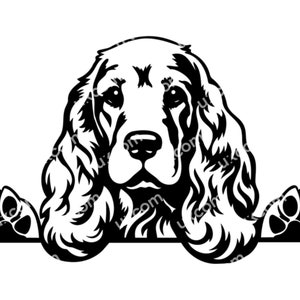 Cocker Spaniel Spähender Hund Kommerzieller englischer Cocker Spaniel SVG süßer Cocker Spaniel Hunde SVG EPS DXF Clipart Vektor Cricut Cut Datei Vinyl