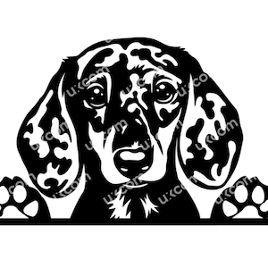 Teckel gevlekt Gluren poten schattige teckel gevlekt SVG Commerciële doxie Canine CNC DXF SVG Eps Clipart teckel Vector Cricut Cut bestand
