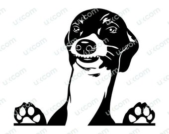 Op de afbeelding: Zwart-witte silhouet van een hond die over een oppervlak kijkt met zijn poten zichtbaar. De hond heeft een speelse uitdrukking.