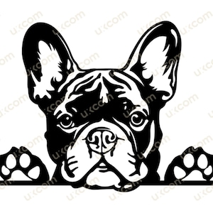 Französische Bulldogge Svg Französische Bulldogge Peeking Dog Frenchie kommerzieller Hund Svg Dxf Png EPS Clipart Vektor Cricut Cut Cutting sofortiger Download