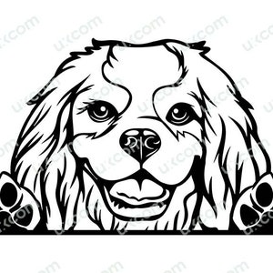 Cavalier King Charles Spaniel Comercial Espiando Cão Raça Pedigree Pet Hound Animal Logo SVG PNG EPS dxf Clipart Vector Cricut Cut File