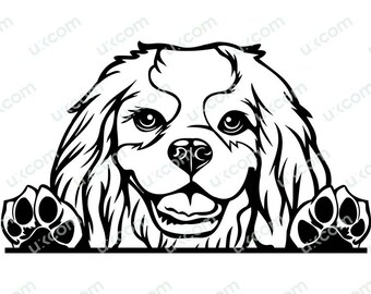 Cavalier King Charles Spaniel Commercial Peeking Dog Breed Pedigree Pet Hound Animal Logo SVG PNG EPS dxf Clipart Vector Cricut Cut File