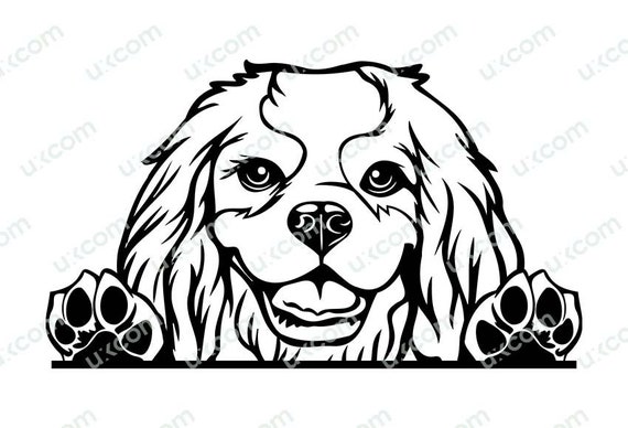 Cavalier King Charles Spaniel & Paws Umbrella Cavalier King Charles Spaniel & Paws Umbrella