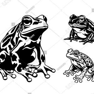 Grenouille svg drôle 3 grenouille ensemble bundle mignon grenouille Commercial noir et blanc cricut tshirt vinyle grenouille logo SVG PNG EPS Dxf Clipart vecteur couper fichier