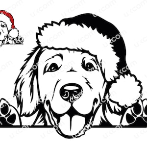 Golden Retriever SVG Cappello da Babbo Natale dorato Golden Peeking Dog Natale Commerciale Razza canina dxf SVG PNG EPS Clipart Vector Cricut Taglio Taglio