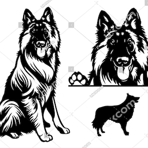 Belgische Tervuerense hond gluren poten gelukkig Belgische herder Tervuren SVG Ras Commerciële Stamboom Canine Dxf PNG EPS Clipart Cricut Cut Bestand
