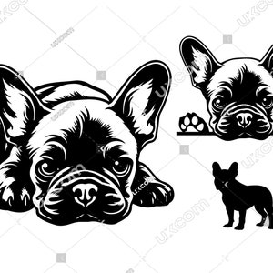 Franse bulldog SVG Franse Bulldog liggen schattig Frenchie commerciële honden CNC Svg Dxf Png EPS Clipart Vector Cricut laser gesneden bestand vinyl