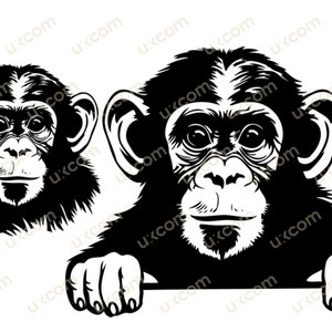 Chimpanzee peeking svg cut file cricut cute monkey clipart Chimpanzee tshirt commercial graphic vinyl decals logo jungle animals dxf ai eps