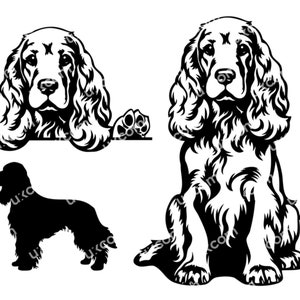 May include: Black and white silhouette and line art illustration of a Cocker Spaniel dog. The dog is shown in two poses, one sitting and one looking over a surface.