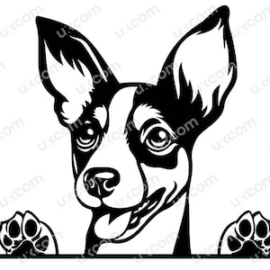 Rat terrier svg Peeking commercial rat terrier mom Breed cut file rat terrier dog lover paws Logo SVG PNG EPS dxf Clipart Vector Cricut