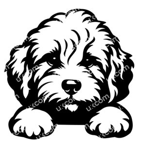 Cavapoo svg Cavapoo Peeking Dog Commercial cute Cavapoo puppy CNC Svg Dxf Png EPS Cavapoo Clipart Cavapoo Cricut Cut File vinyl decals laser