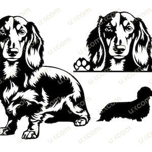 Teckel langharige bundel set Gluren Hond doxie Commerciële rassen teckel Logo vinyl stickers. SVG. PNG Clipart Vector Cricut Cut Cutting