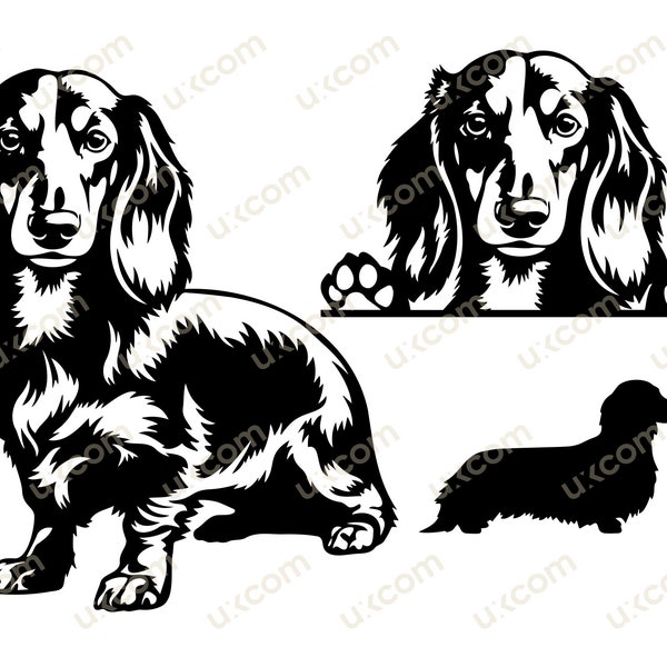 Dachshund Long haired bundle set Peeking Dog doxie Commercial breeds dachshund Logo vinyl decals .SVG .PNG Clipart Vector Cricut Cut Cutting