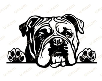 English Bulldog Peeking Dog Commercial bulldog mom happy bulldog cute dog bulldog SVG PNG EPS Clipart Vector bulldog Cricut Cut Cutting File