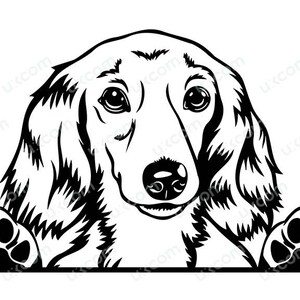 Teckel Langharige Peeking Dog Commerciële Lachende Puppy Poten Schattig Stamboom Huisdier Ras Logo. SVG. PNG Clipart Vector Cricut Cut Cutting