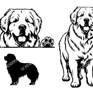 Toller Pyrenäen-Peeking-Svg-Hund 3 Kommerzieller glücklicher Pyrenäen-Hund-Silhouette-Vinyl-Dxf-PNG-EPS-Clipart-Vektor-Bundle-Cricut-Cut-Cutting-Datei