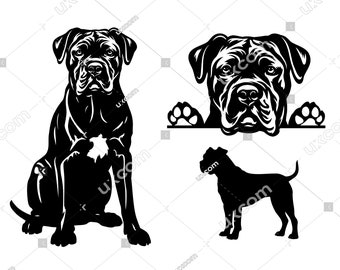 Cane corso svg corso Peeking dog 3 cane corso set race Commercial Breed Cane corso cricut cut file Logo SVG PNG EPS Clipart Vector Cut
