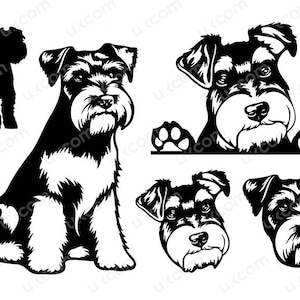 Sweat-shirt Pour Chien Schnauzer Standard - Imprimé 'Peeking Schnauzer', Neuf Sans étiquettes, Marque Gildan/Port/Jerzees